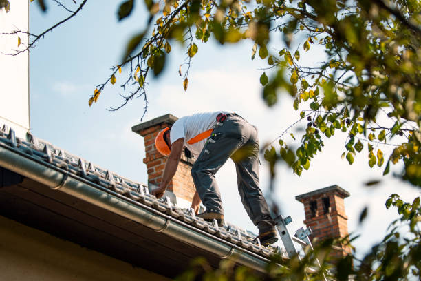 Best Flat Roof Repair Services  in Hackleburg, AL
