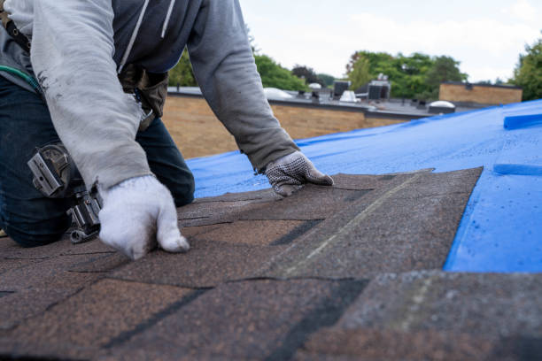 Best Local Roofing Companies  in Hackleburg, AL
