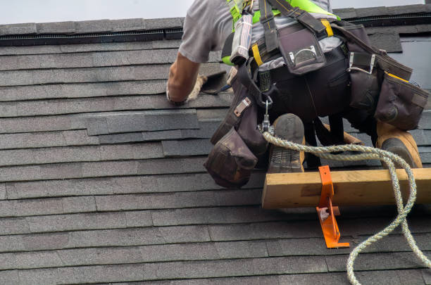 Best Storm Damage Roof Repair  in Hackleburg, AL